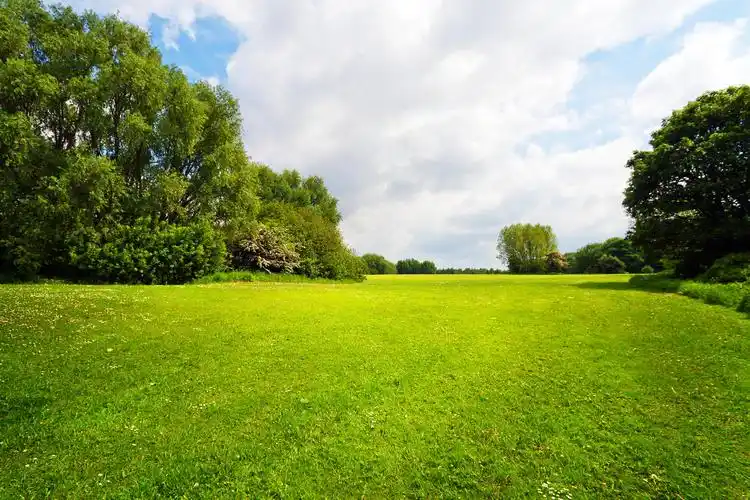绿色自然景观风景图