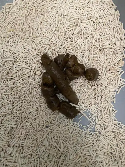 大便经常带有粘膜吃益生菌作用不大医院检查说是肠炎总是反反复复唉