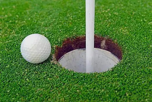 高尔夫球,草,果岭