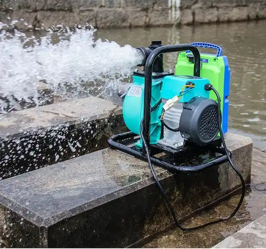 泵48v60v72v伏抽水机农用家用电瓶车抽水泵 48v6ah专用锂电池【图片