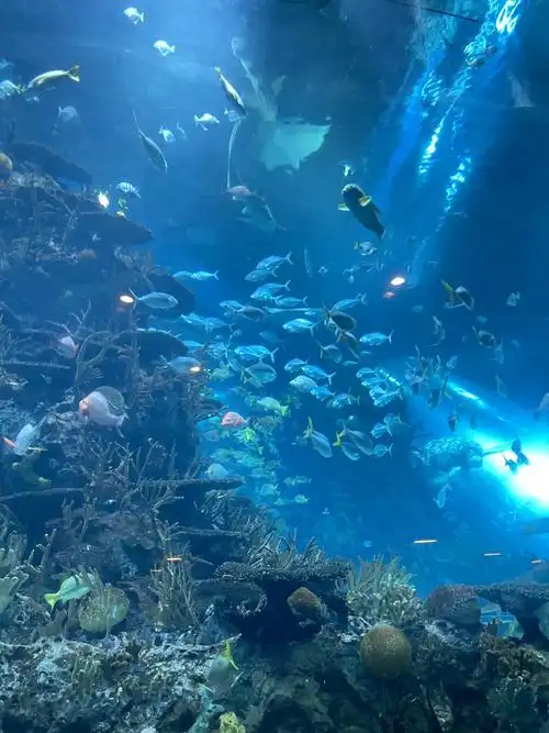 北京动物园##海洋馆