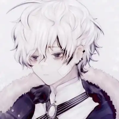 二次元 银发少年