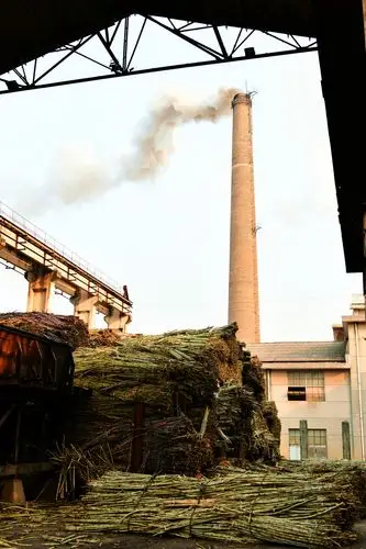 用镜头说话:甜蜜的事业——走进元江漫林糖厂