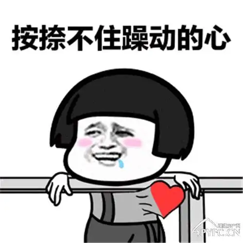 完全压抑不住骚动的心