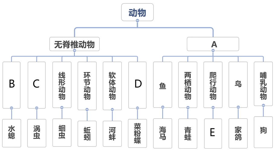 下图为形态结构,生活习性互不相同的几种动物,请按要求回答下列相关