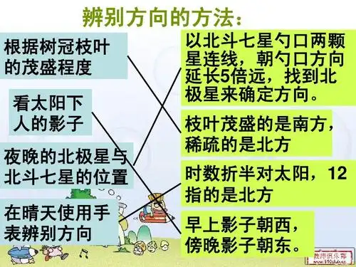 指南针ppt 辨别方向的方法: 根据树冠枝叶 的茂盛程度 看太阳下 人的