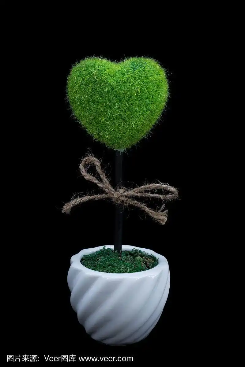 心形植物在黑色背景