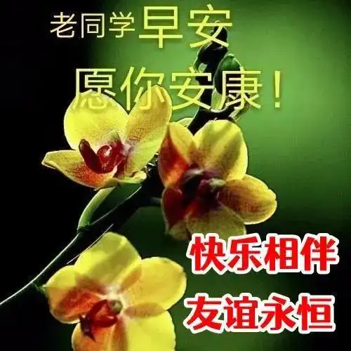 8张创意好看的早上好问候祝福图片免打字聊天老同学早安问候祝福图片