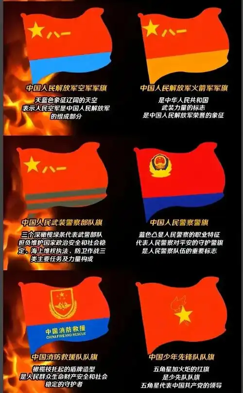 我国的十二面旗帜.#党旗国旗指明前进方向#我爱你中国,坚持党 - 抖音