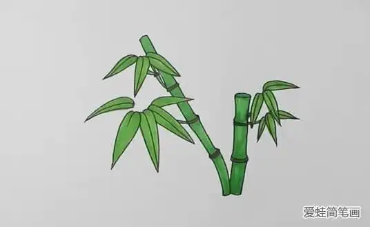 漂亮竹子怎么画简笔画