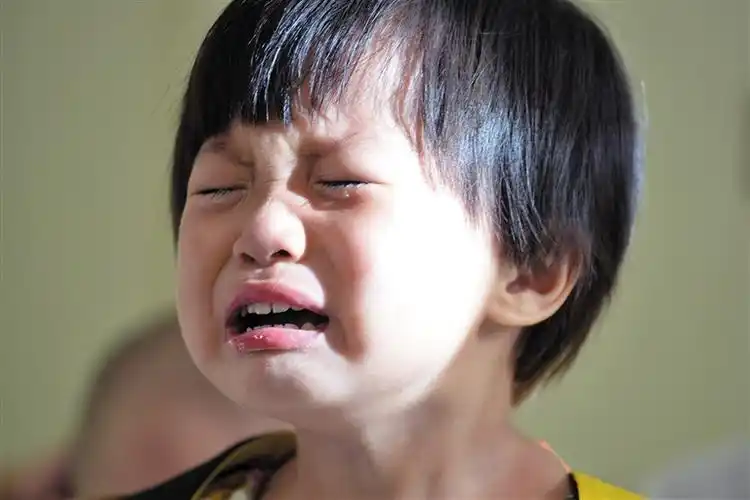 萌娃入园 哭着长大