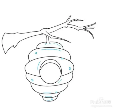 用弯曲的线条和小圆圈纹理画出蜂巢表面细节.