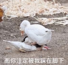 而你注定被我踩在脚下_注定_脚下表情