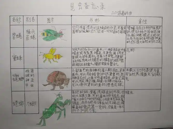 优秀作品~昆虫备忘录