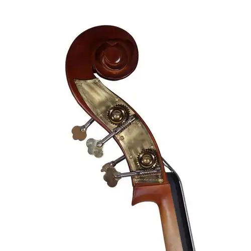 凤灵实木低音大提琴倍大提琴flb2111成人儿童学生大贝司演奏乐器