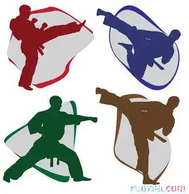 十三式红拳的套路招式