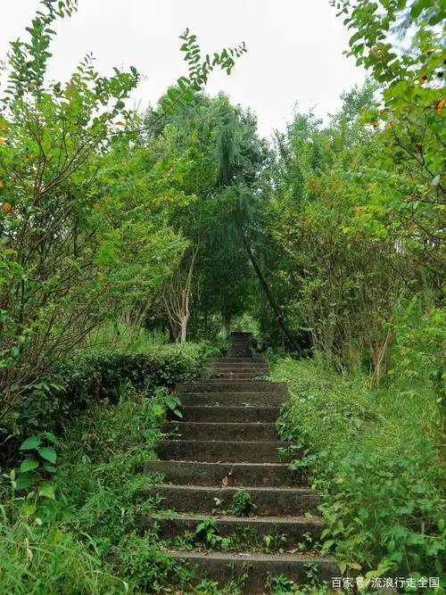 好山好水好风景:重庆照母山森林公园(攻略线路指南)