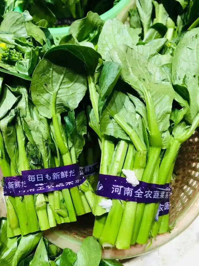 在香港,宁夏菜心几乎是每个家庭餐桌必备的一道菜品. 然而绝大 - 抖音