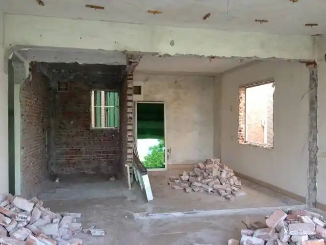 杂草丛生,枝繁叶茂,还打算装修嘛_老屋_改造_建议