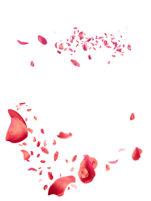 唯美创意花瓣飘落图片