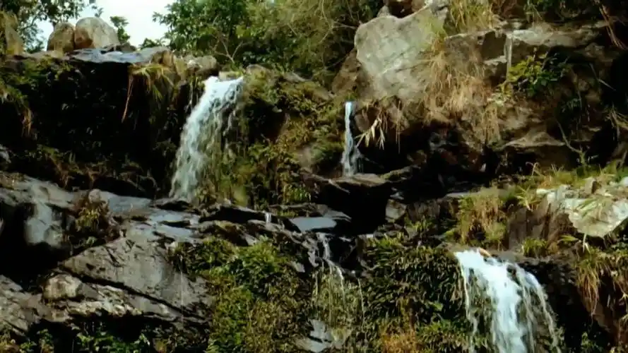 《音乐僵尸》:珠珠不相信有僵尸,阿豪让她回头看看,结果吓得大叫 zt