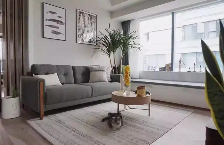 客厅没阳台有个飘窗也漂亮