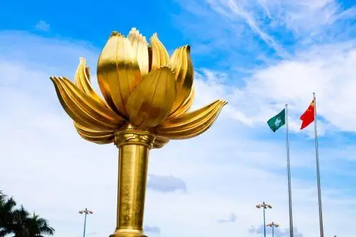 为什么莲花是澳门的象征?