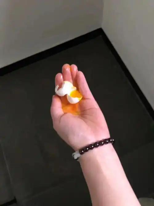 老斑鸠两蛋剩一个哭了