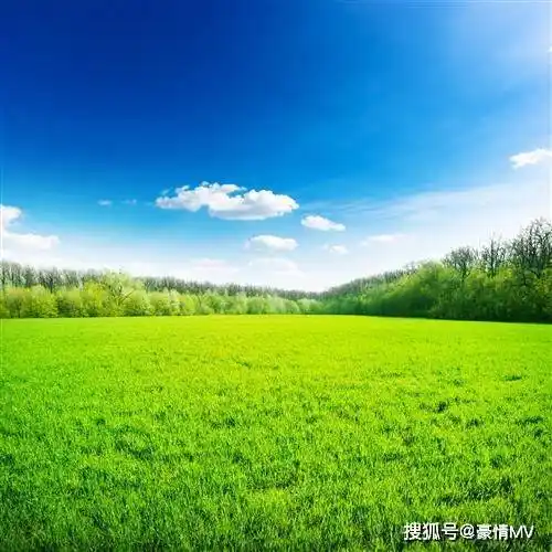 绿色草原系养心又养眼招财聚财带来好运的风景微信图片