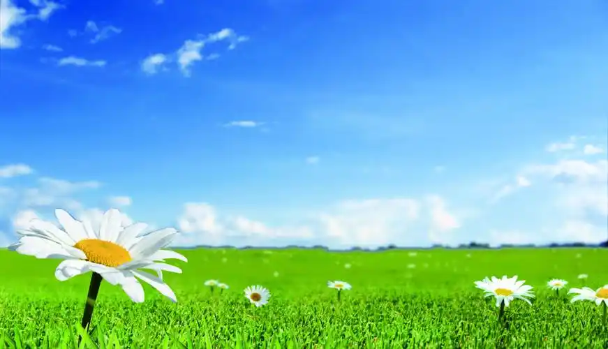 蓝天绿地背景图片