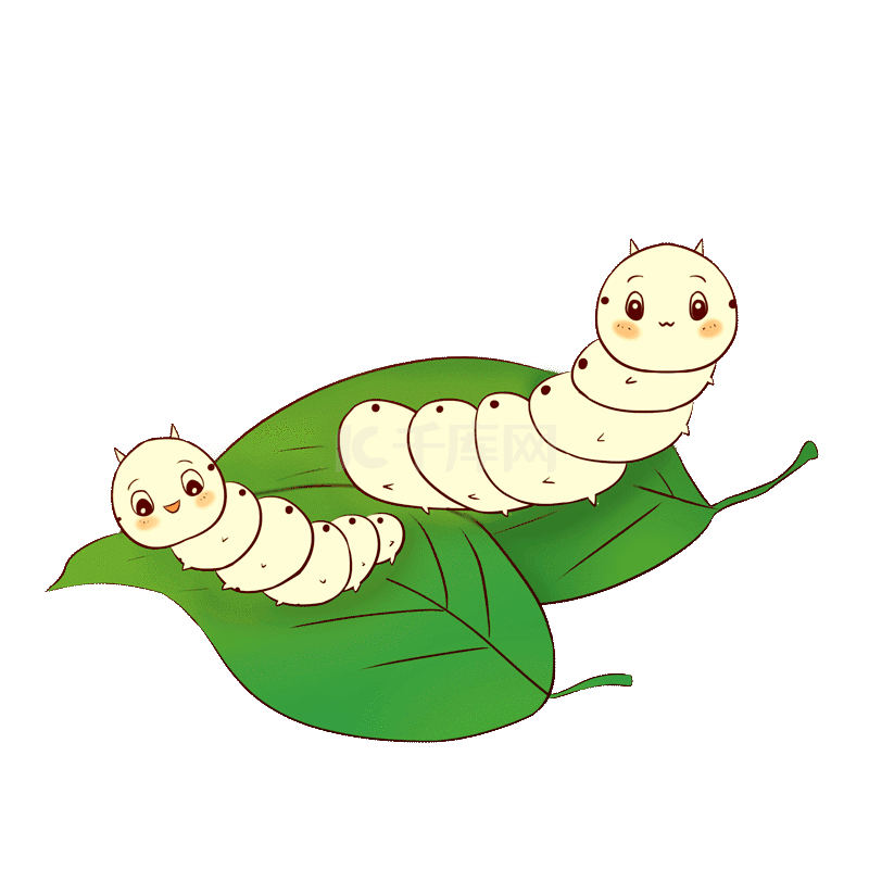 孩子们开始询问欣奕,你的蚕宝宝好可爱,哪里来的?