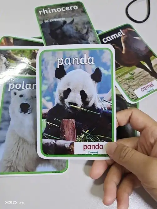 7815逼真的动物园闪卡,配拼读,有几个使用自己会读的呀
