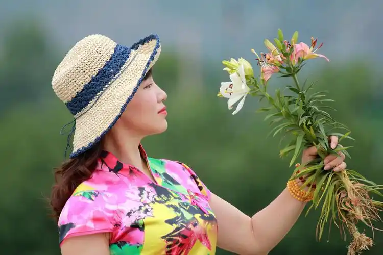 美女     百合花