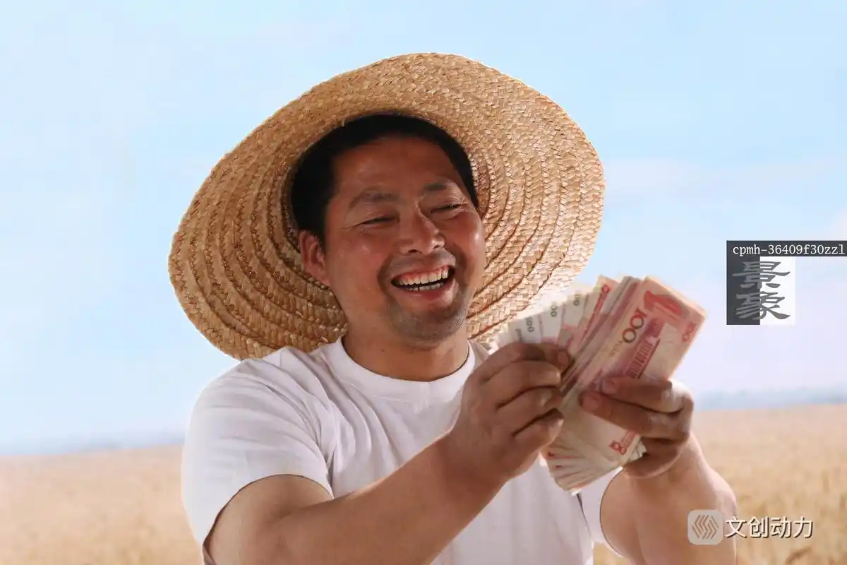 一个农民站在麦田里数钱