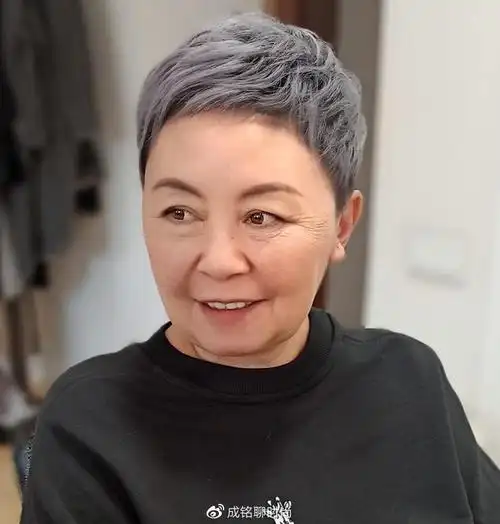 适合老年人的男人婆发型不烫不染又减龄清爽干练好打理