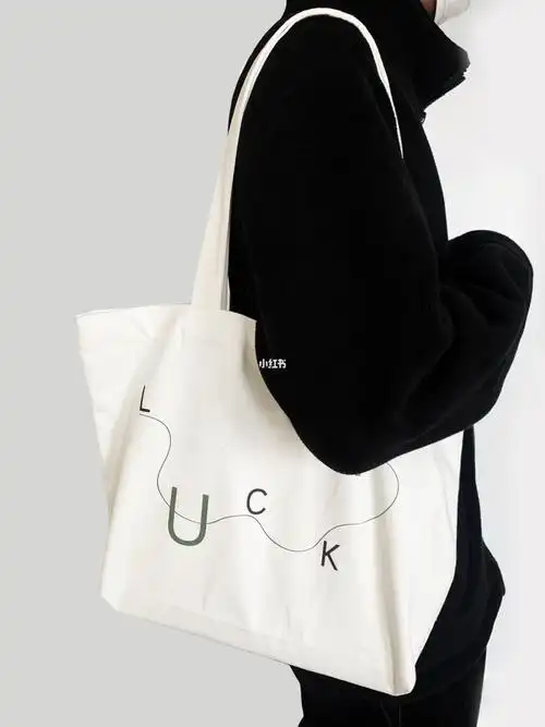 出门必备小众百搭帆布包超大容量