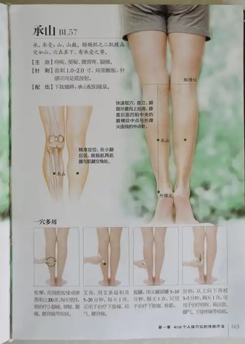 足太阳膀胱经穴位图解