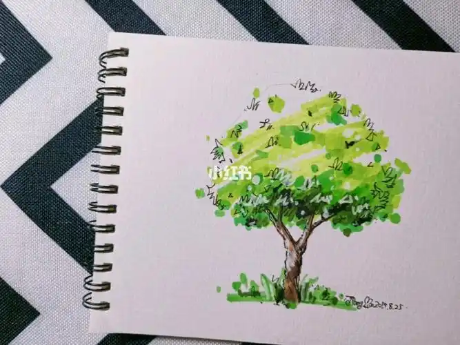 马克笔画树马克笔画树教程
