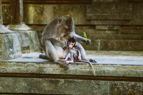 牵手旅行 一起走过世界最美的角落-[巴厘岛]