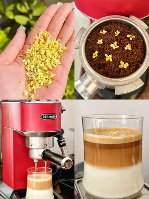 草本咖啡自制桂花拿铁