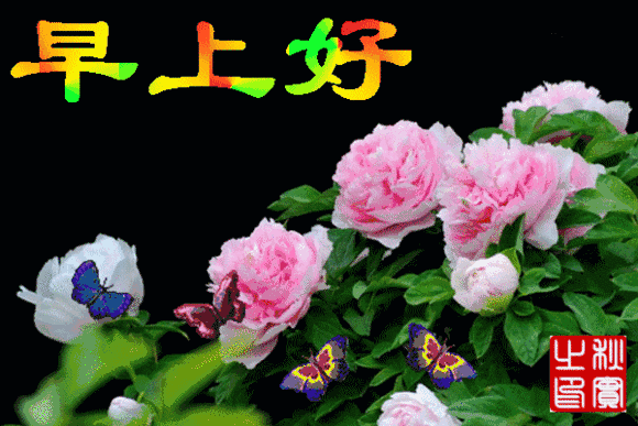 最漂亮的早上问候动态图片大全微信早上问候表情图片