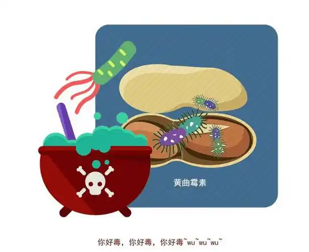 凡是发霉的食物都该扔掉不一定这些食物发霉反而营养更丰富