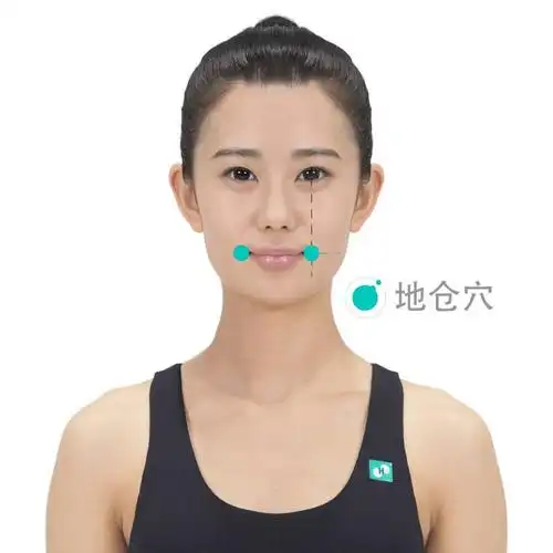 简易取穴:在瞳孔直下到平嘴角的位置就是地仓穴.