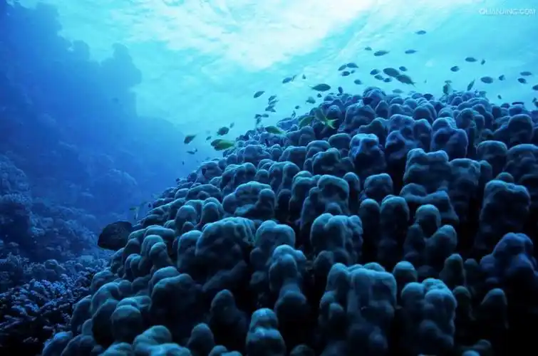 data-id="go25h8bjrg">红海位于 a target="_blank" href="/item/非洲