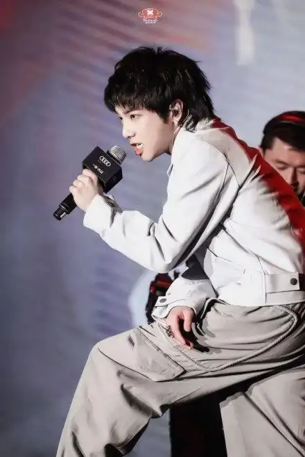 这届粉丝不好带?华晨宇粉丝和王俊凯粉丝"开撕",力证"谁糊"