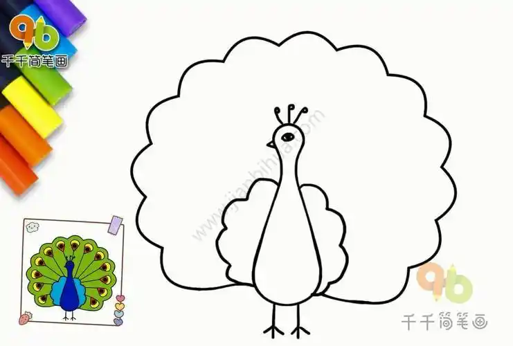 简笔画孔雀简笔画孔雀开屏