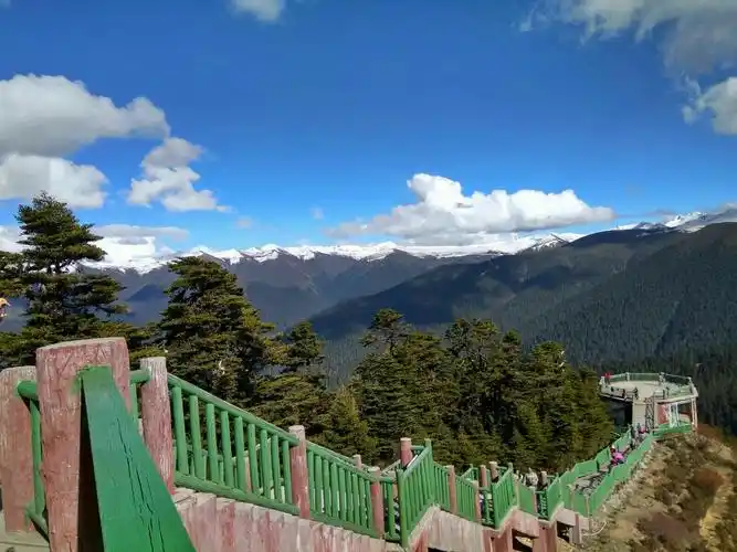 鲁朗林海观景台