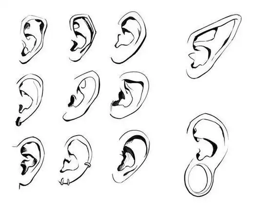 绘画参考#耳朵素材参考