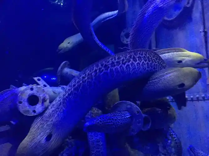 四川双流海洋馆