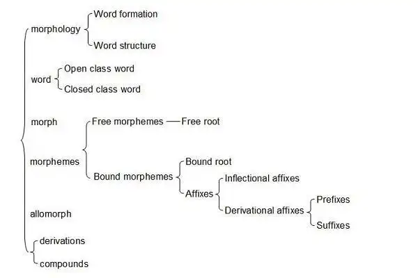 morphology语言学定义
